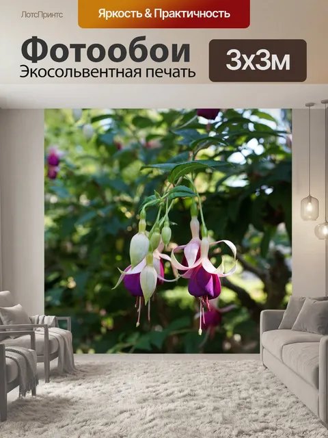 Фотообои Цветок
