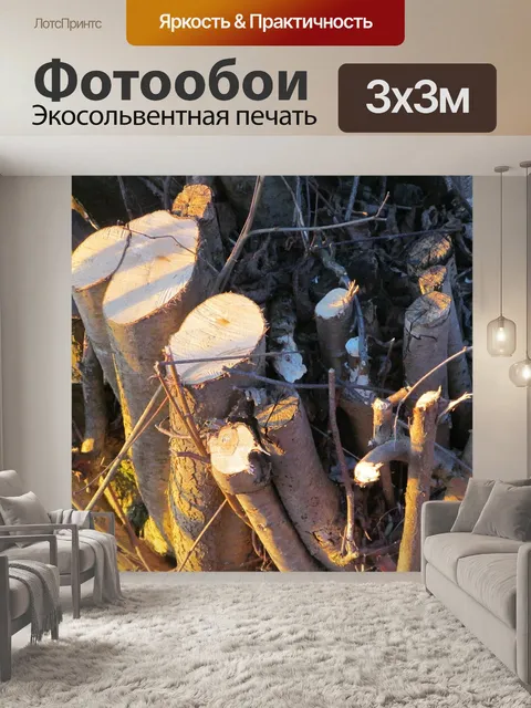 Фотообои Пень