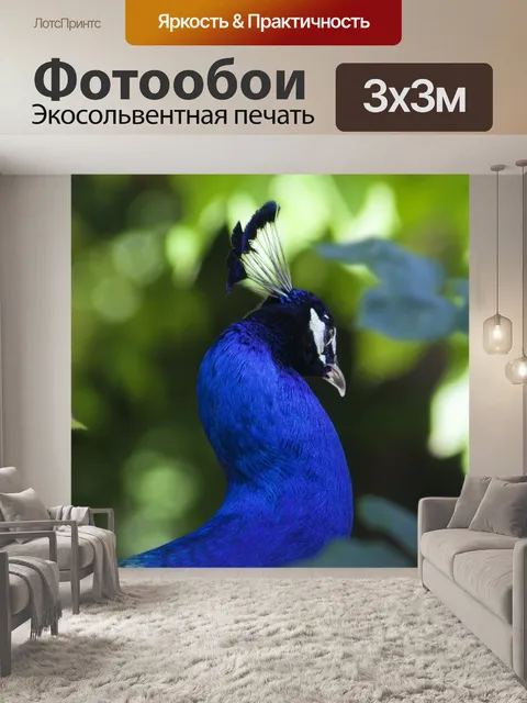 Фотообои Павлин