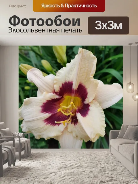 Фотообои Лили