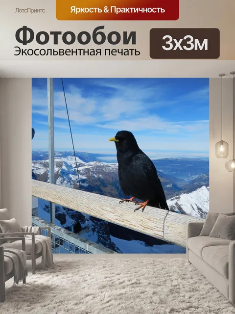 Фотообои Птица