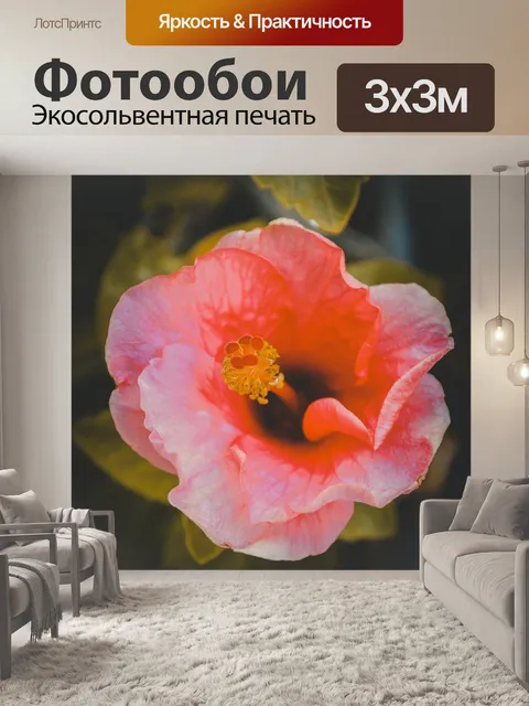 Фотообои Цветы