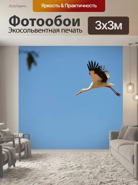 Фотообои Аист