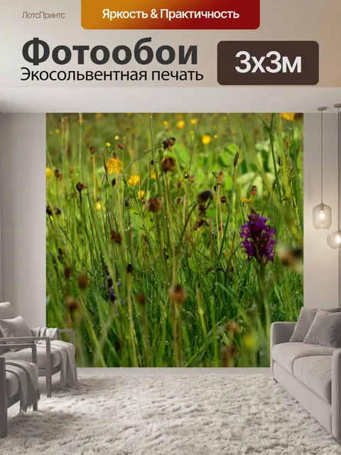 Фотообои Орхидеи луг