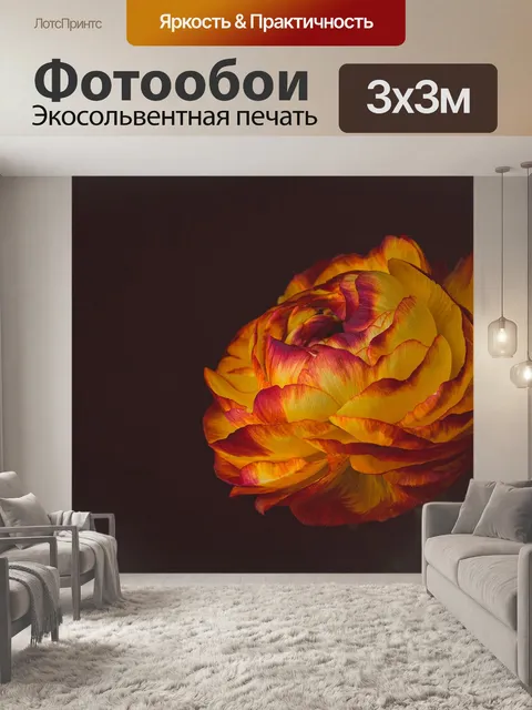 Фотообои Лютик