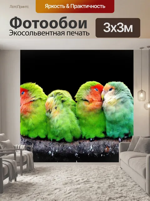 Фотообои Попугаи