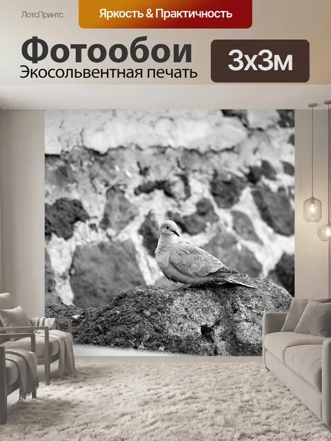 Фотообои Турецкая горлица