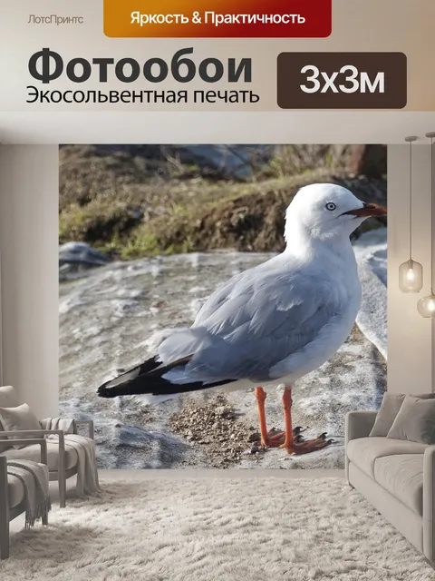 Фотообои Птица