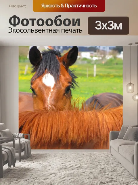 Фотообои Приятное лошадей