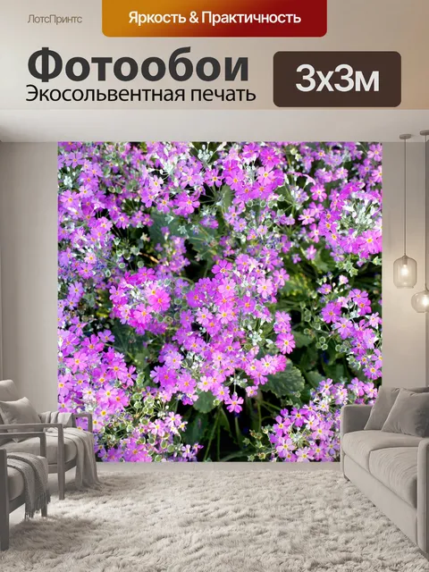 Фотообои Цветник на горе Дои Интанон