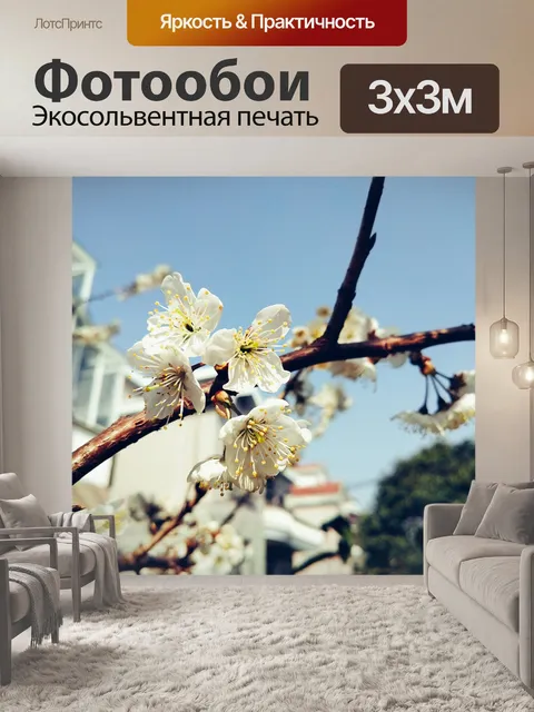 Фотообои Вишни в цвету