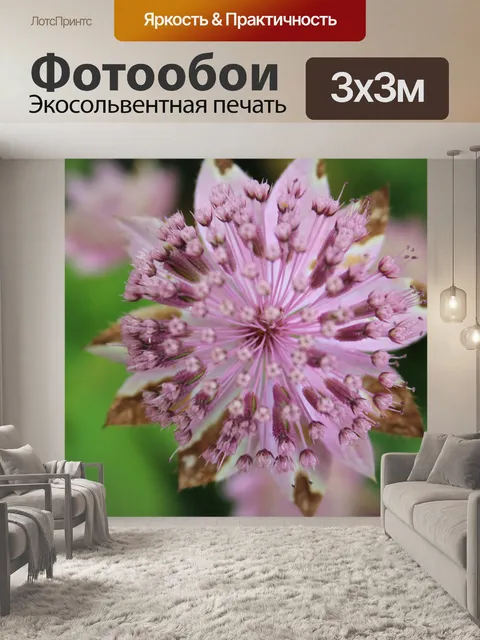 Фотообои Цветок
