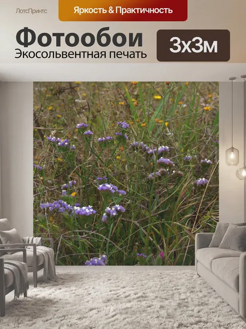 Фотообои Фиолетовые цветы статицы в дикой природе