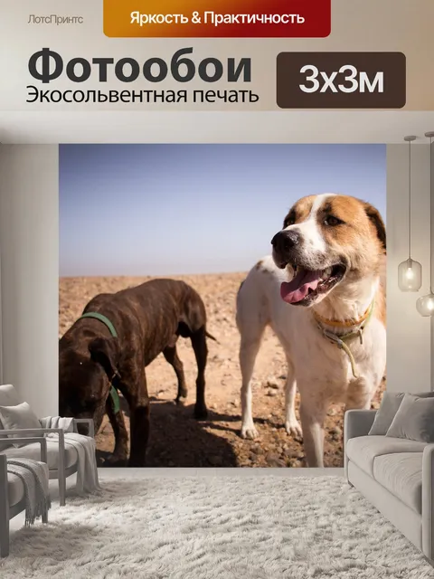 Фотообои Собаки