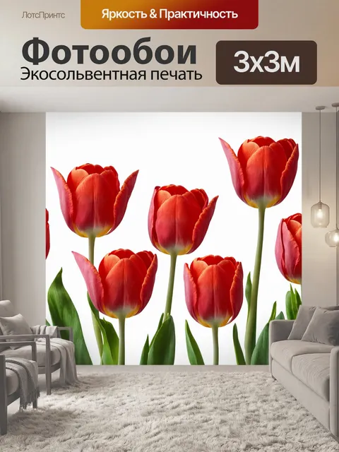 Фотообои цветы в стиле гиперреализм, красные тюльпаны на белом фоне, отличная детализация, текстура лепестков