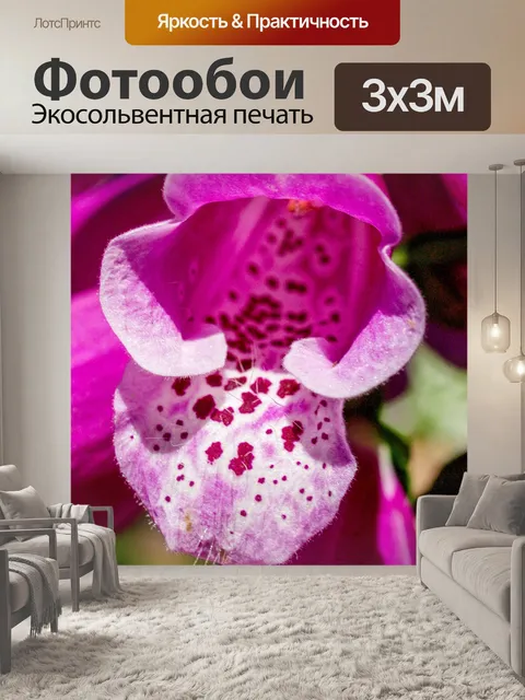 Фотообои цветник