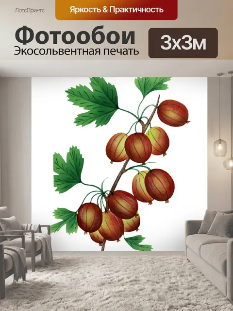 Фотообои Раскрашенный винтажный крыжовник