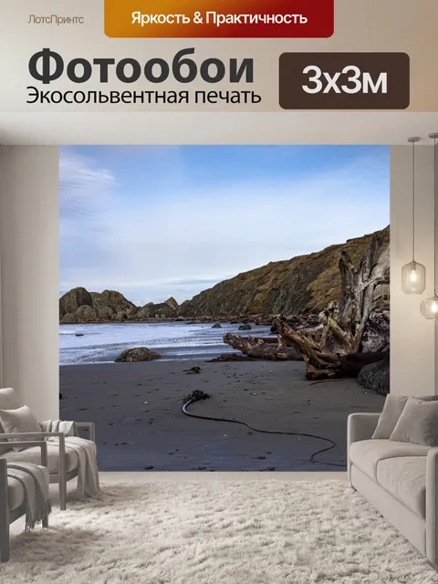 Фотообои Стволы коряги