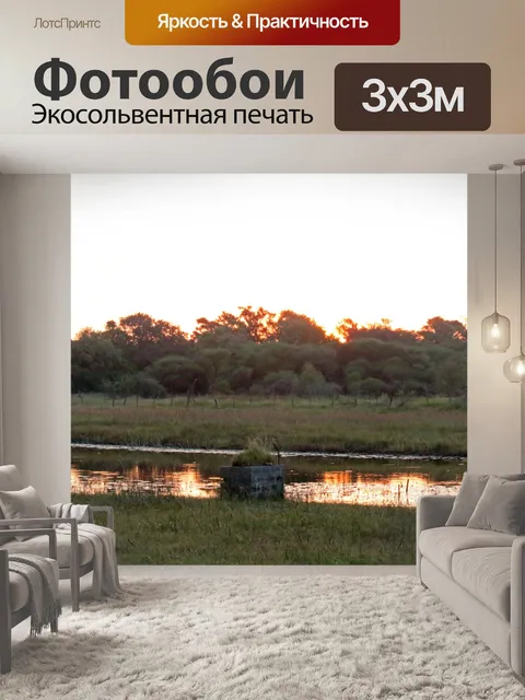 Фотообои золотые мотивы заката