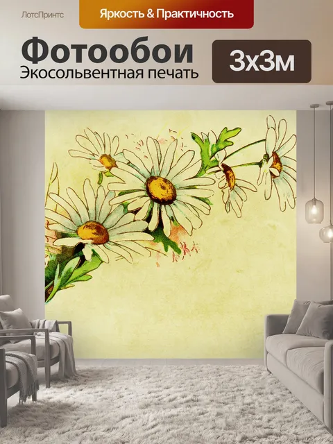 Фотообои Дейзи цветов фона