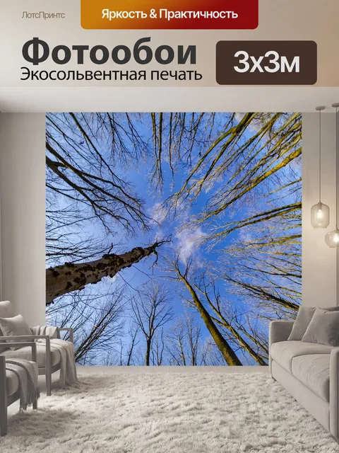 Фотообои Деревья