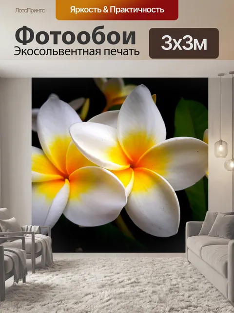 Фотообои Франжипани