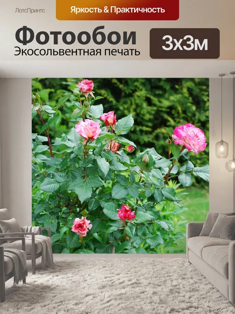 Фотообои Розы