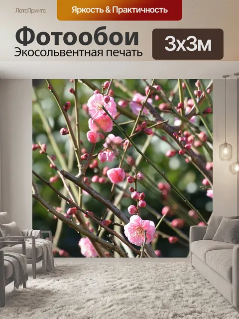 Фотообои Цветы