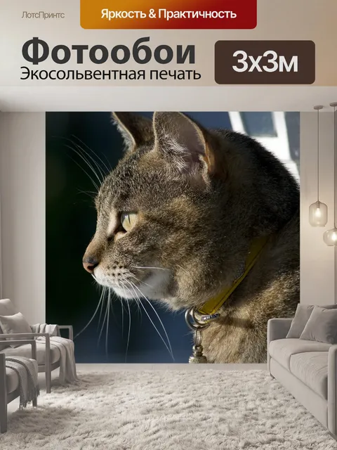 Фотообои Полосатый