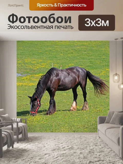 Фотообои Лошади