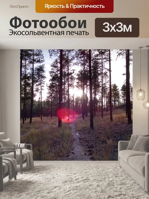 Фотообои Собака