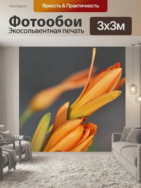 Фотообои Три оранжевых дня Лили Бадс