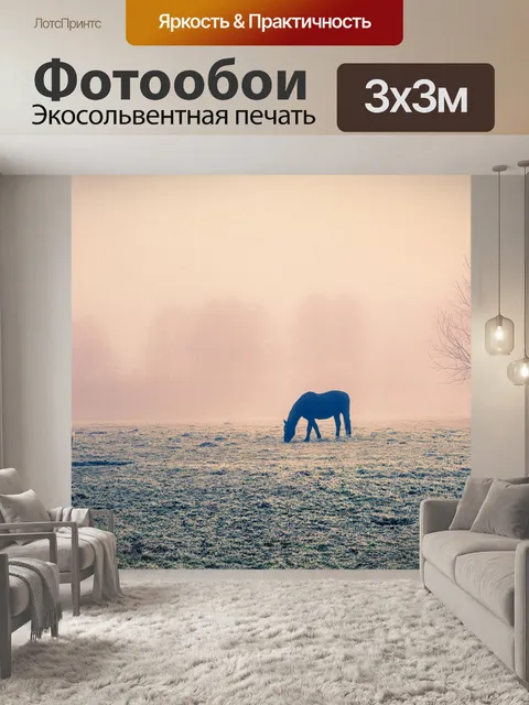 Фотообои Лошадь