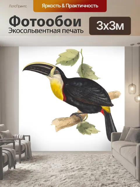 Фотообои Тукан Старинные Птицы Арт