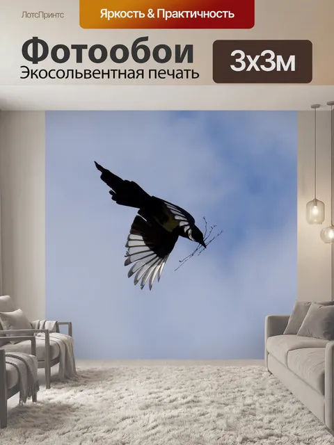 Фотообои Сорока