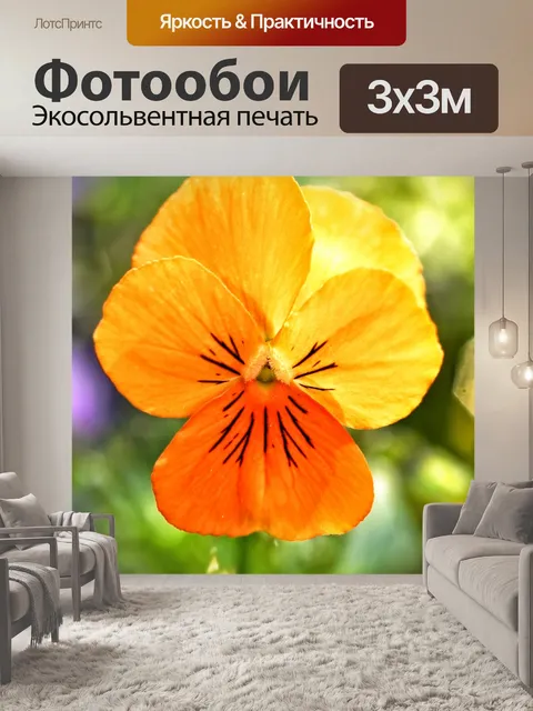 Фотообои Блоссом цветник природа