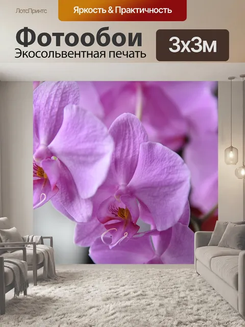 Фотообои Орхидеи