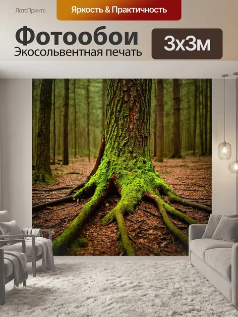 Фотообои старые деревья, мох на коре, следы диких животных, шершавые корни, гнезда птиц, тишина леса