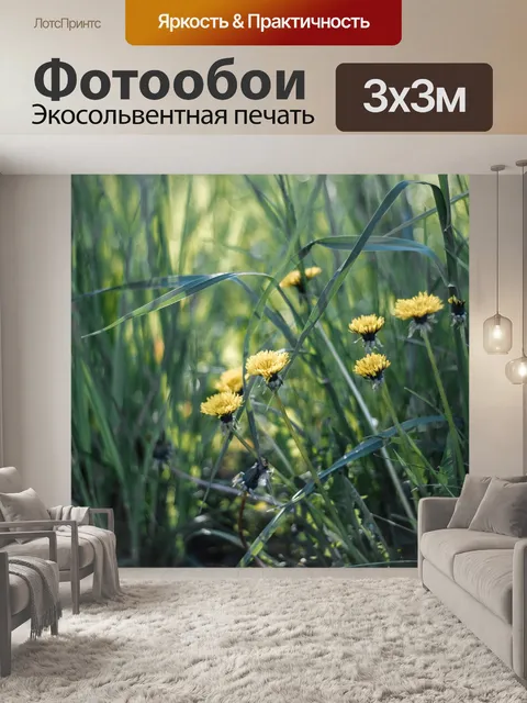Фотообои Одуванчики