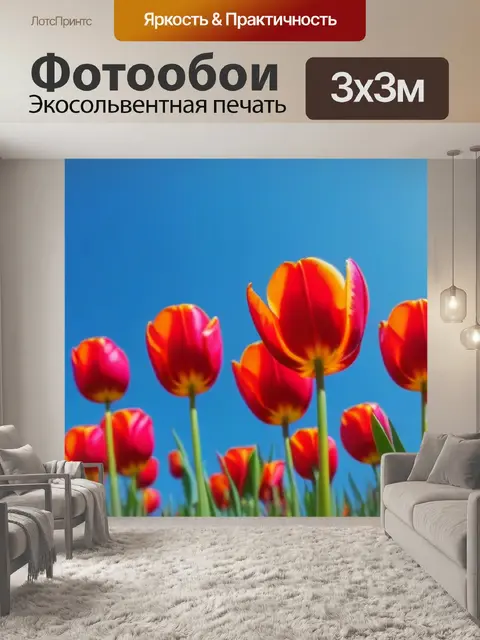 Фотообои тюльпаны на фоне голубого неба
