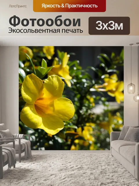Фотообои Цветы