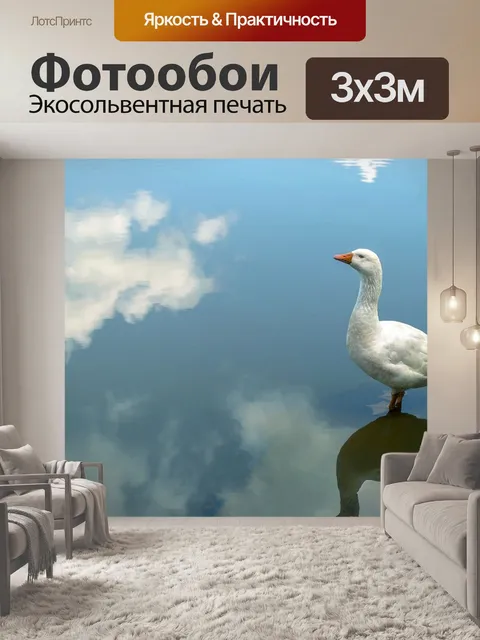 Фотообои Гусь