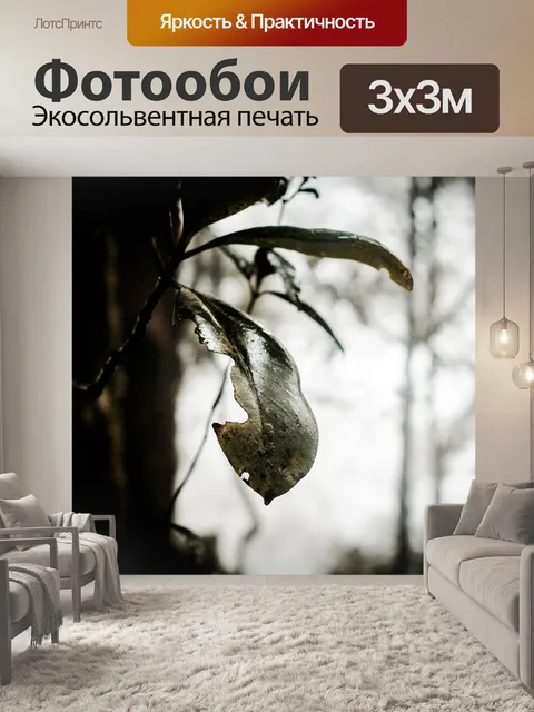 Фотообои Лес