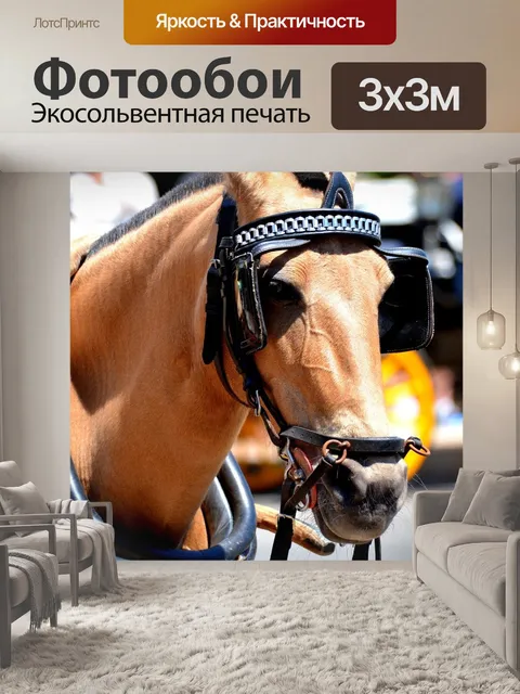 Фотообои Шоры