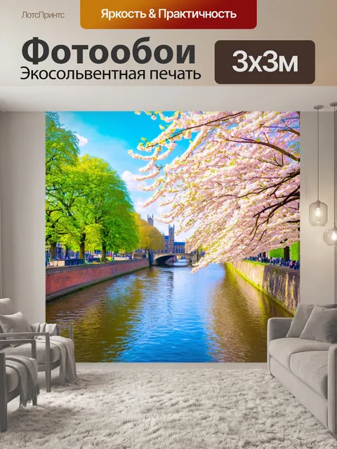 Фотообои англия: великолепная весна в кембридже, с цветущими деревьями вдоль реки и отражающимся древним университетом