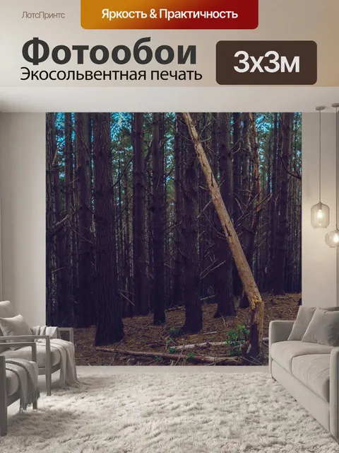 Фотообои Деревья