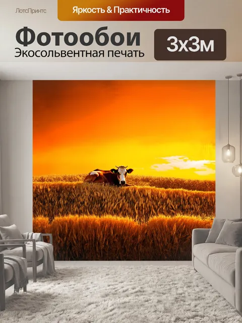 Фотообои на закате, когда небо окрашено в яркие цвета, корова лежит на склоне холма, окруженная золотой пшеницей…