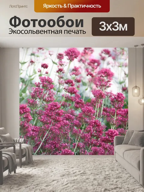 Фотообои Расцветает