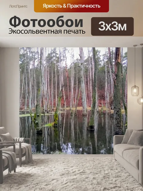 Фотообои Германия