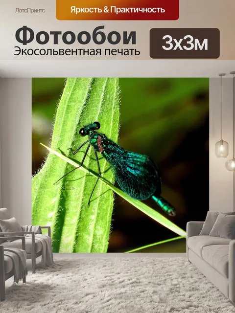 Фотообои Стрекоза на листе